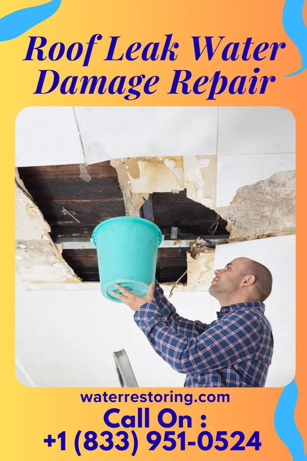 Roof Leak Water Damage Repair in South Willard, UT